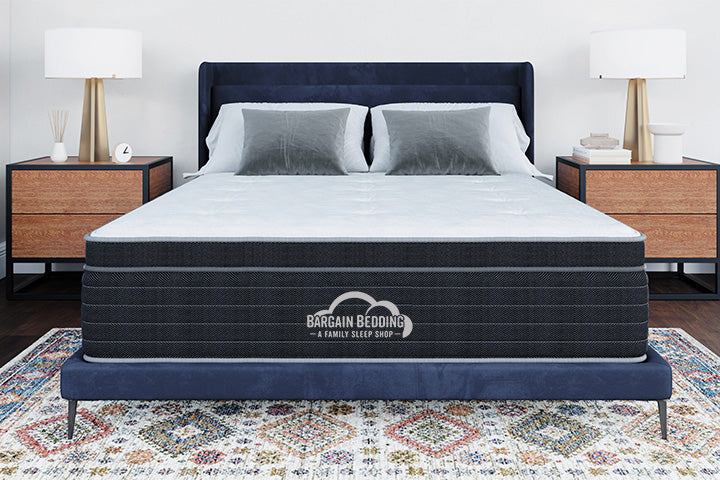 Bargain Bedding Andrew Plus Pillow Top Mattress