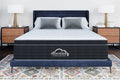 Bargain Bedding Andrew Plus Pillow Top Mattress