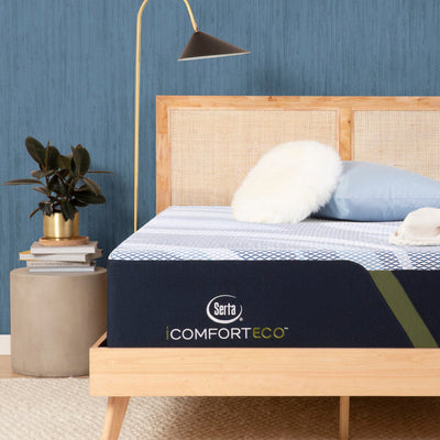 iComfort ECO Q35LTX Plush Pillow Top with latex by Serta